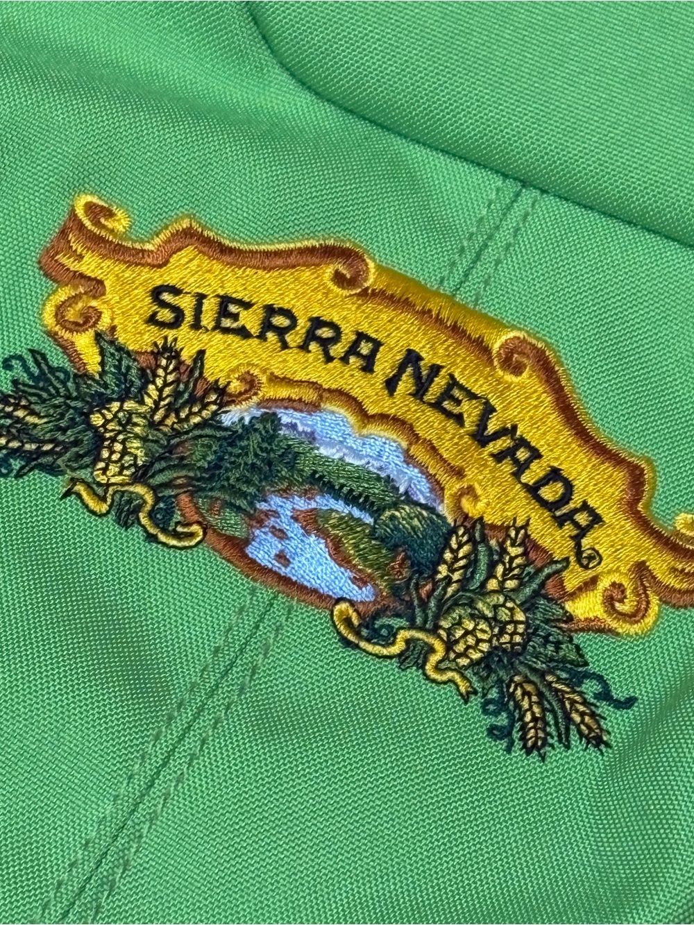 RARE Patagonia Refugio 28L Backpack Sierra Nevada Beer Promo Green - Picture 5 of 9